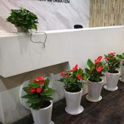 匠心筑梦 · 空间艺术生活家——【雅境设计】企业介绍